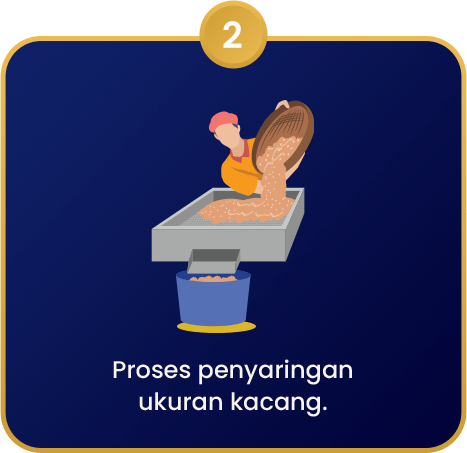 Kacang_Atom_2