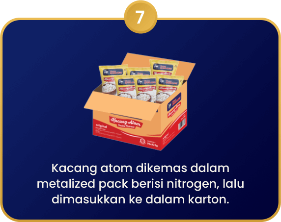 Kacang_Atom_7